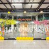Vẽ kính Tết Hoa Mai Hoa Đào